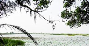 Haleji Lake