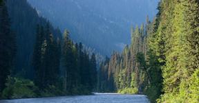 Tao Butt, Neelum Valley