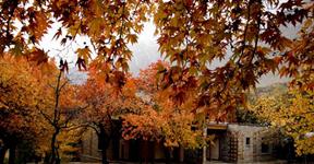 Altit Fort, Hunza