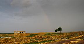 Bhambore, Sindh