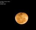 Orange Moon (Natural)