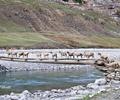 Wooden bridge over river Kunhar.