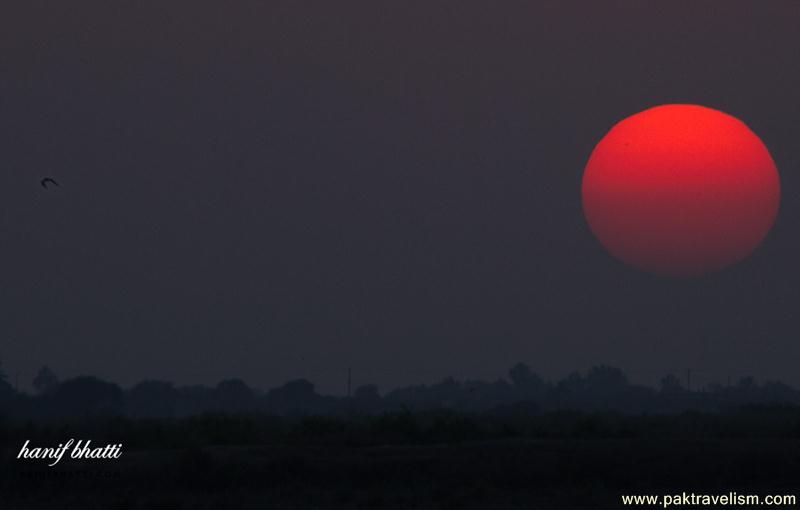 Beautiful Sunset in Sindh.