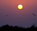 Sun Rise at Mirpur Sakro, Sindh