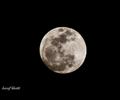 SuperMoon - 7:43PM, 5th May 2012