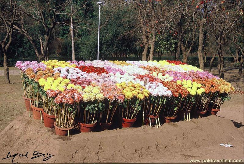 Flower Show, Karachi