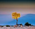 Gorakh Hill - Sindh