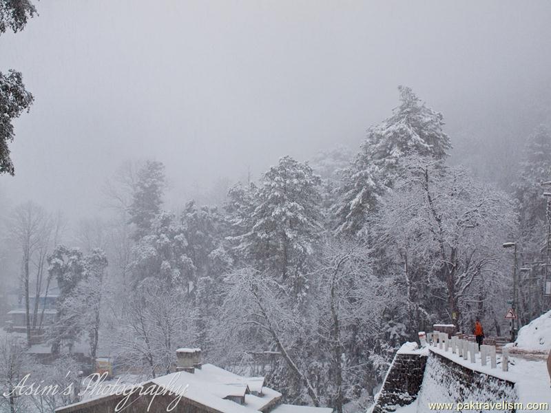 Muree in snow