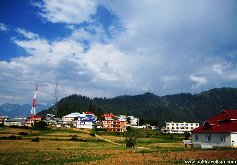 Shogran 