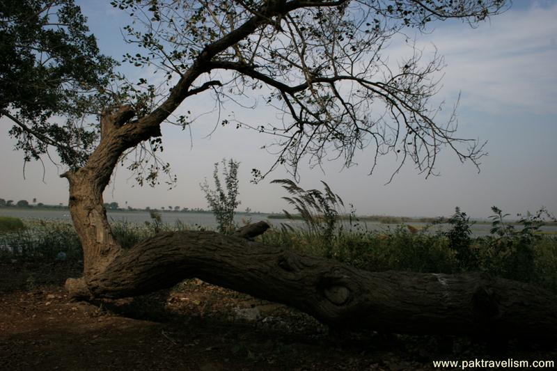 Haleji Lake, Thatta Sindh