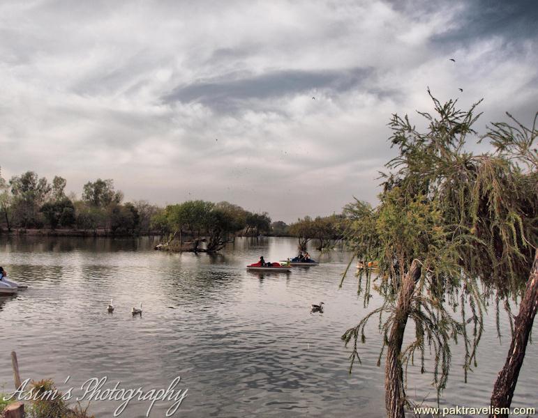 Ayub Park Rawalpindi