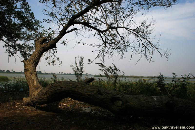 A view at Haleji Lake