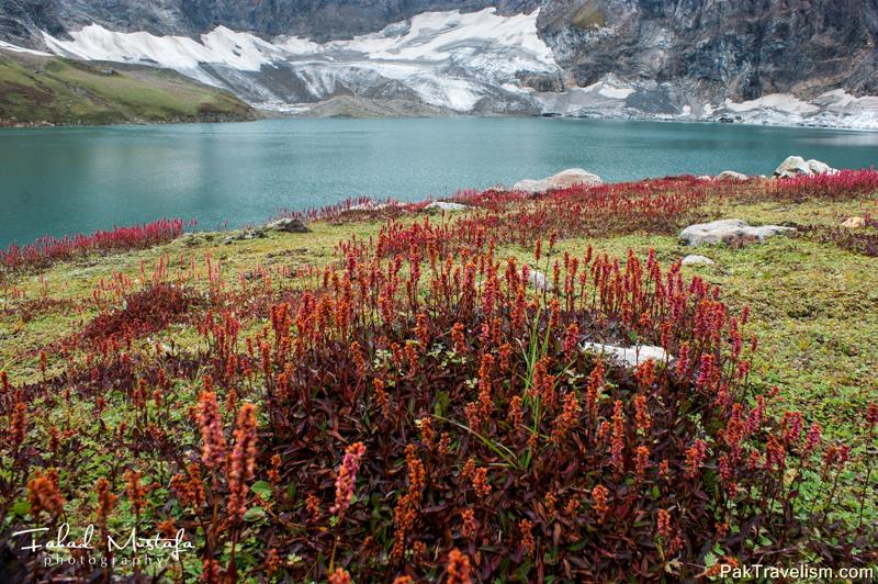 Ratti Gali Lake Neelum Valley