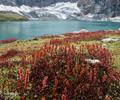 Ratti Gali Lake Neelum Valley