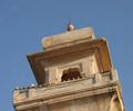 Mosque, near Derawar Fort