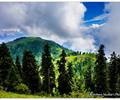 View from Miranjani Top - Galiyaat Region, Pakistan