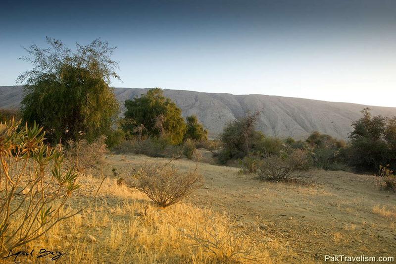 Tikko Baran, Kirthar National Park