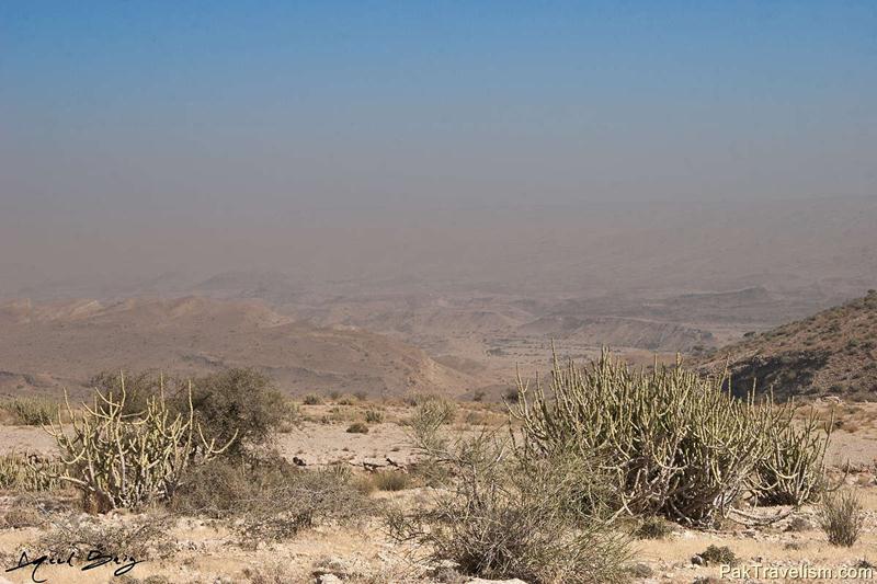 Tikko Baran, Kirthar National Park