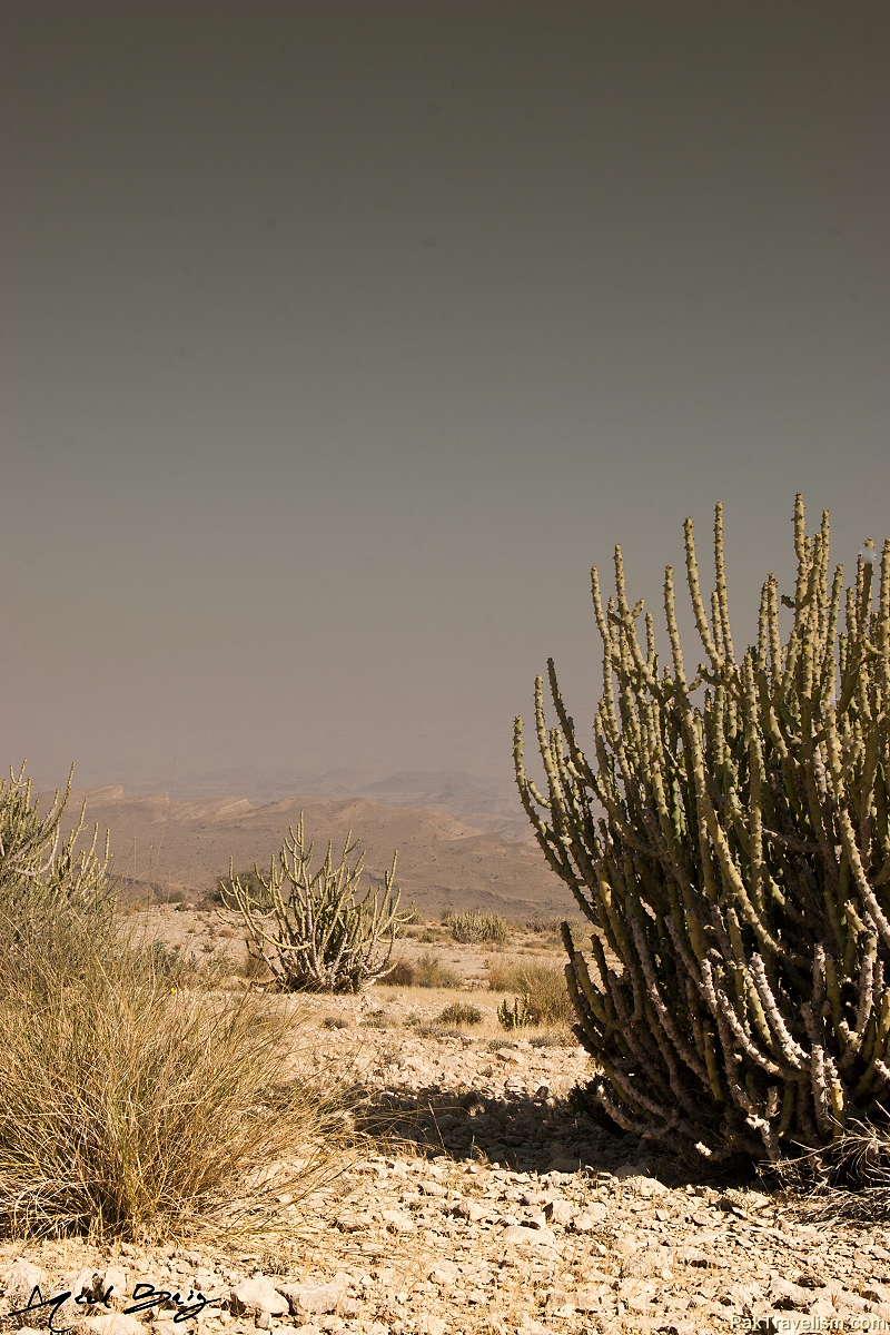 Tikko Baran, Kirthar National Park