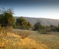 Tikko Baran, Kirthar National Park