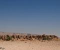 Tikko Baran, Kirthar National Park