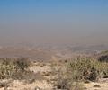 Tikko Baran, Kirthar National Park