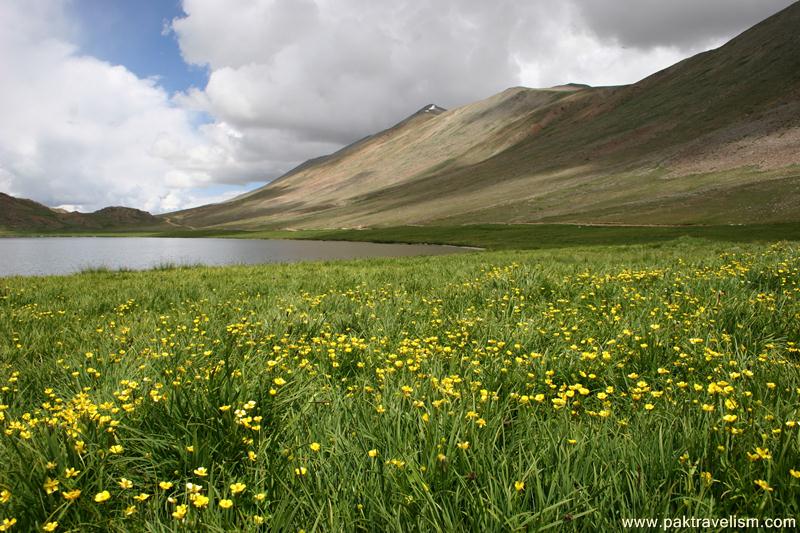 Deosai National Park, Skardu