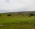 Kirthar National Park.