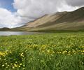 Deosai National Park, Skardu