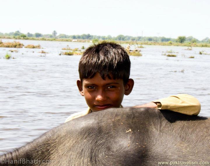 Faces In Tando Adam