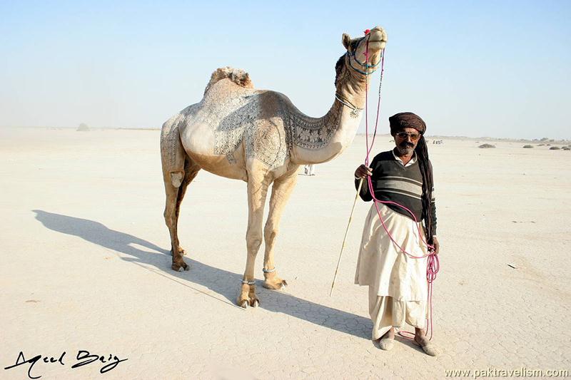 At Cholistan