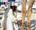 At Cholistan