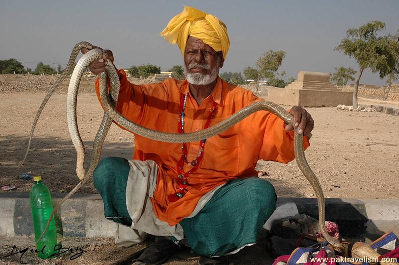 A Jogi at Makli, Thatta