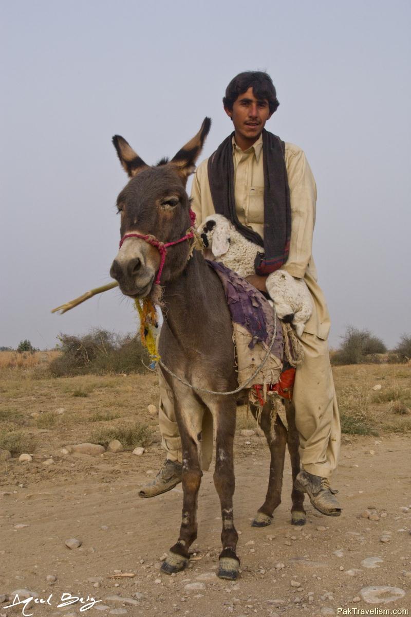 balochi People at Jhal Magsi