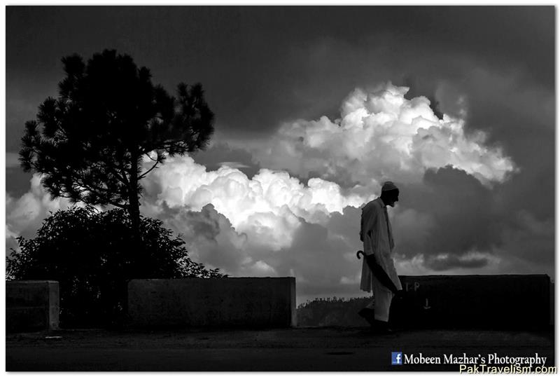 Stages of Life - growing tree, rising clouds and bending old shoulders