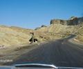 Makran Coastal Highway