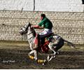 Polo in Gilgit