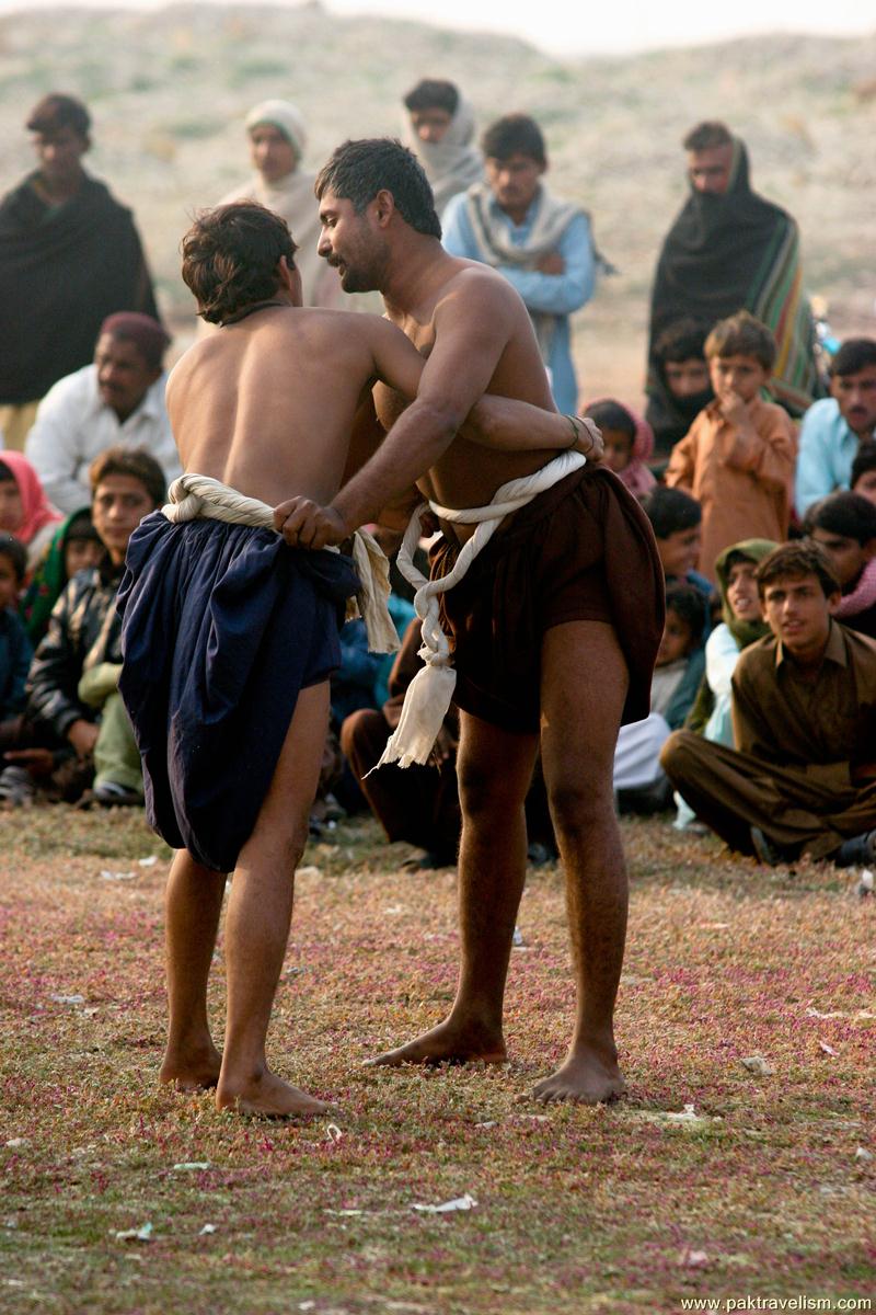 Malh, Sindhi Wrestling