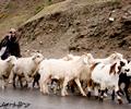 Kaghan valley, KPK