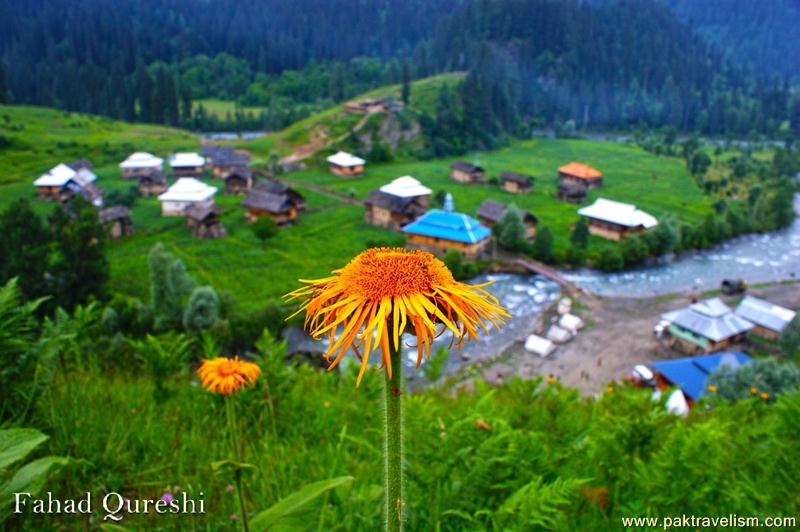 Neelum Valley Beauty Taobut