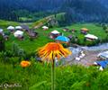 Neelum Valley Beauty Taobut